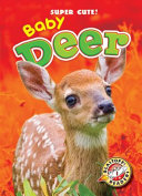 Baby_deer